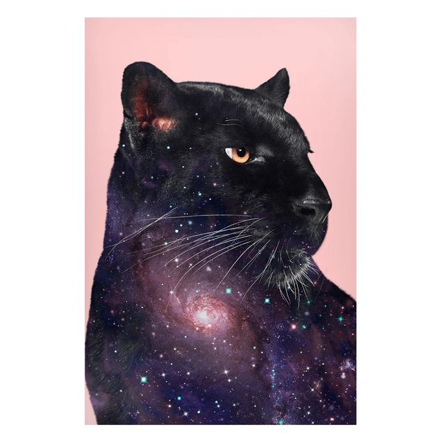 Kitchen Panther With Galaxy