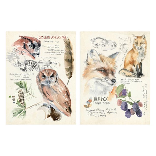 Prints Wilderness Journal Owl And Fox Set I