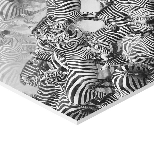 Prints Zebra herd II
