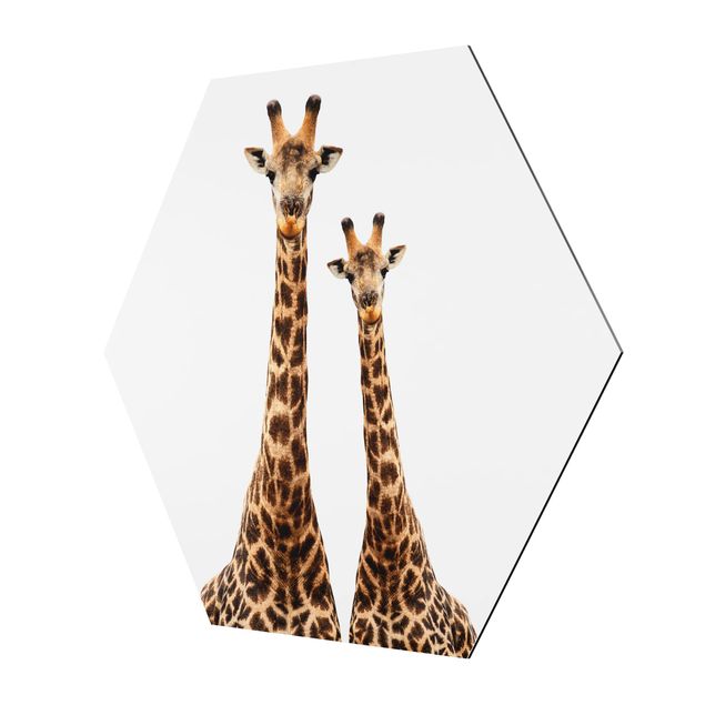 Hexagon photo prints Portait Of Two Giraffes