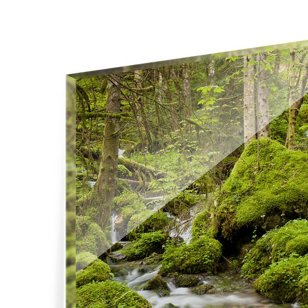 Glass Splashback - Mossy Stones Switzerland - Panoramic