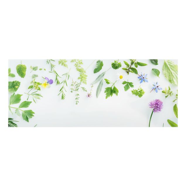 Glass splashback kitchen Herbs And Flowers