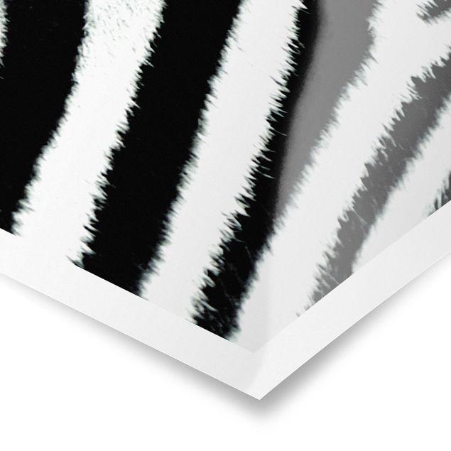 Prints black and white Zebra Crossing
