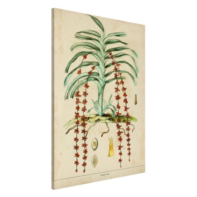 Kitchen Vintage Board Exotic Palms IV