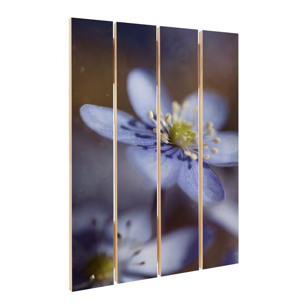 Print on wood - Anemone In Blue
