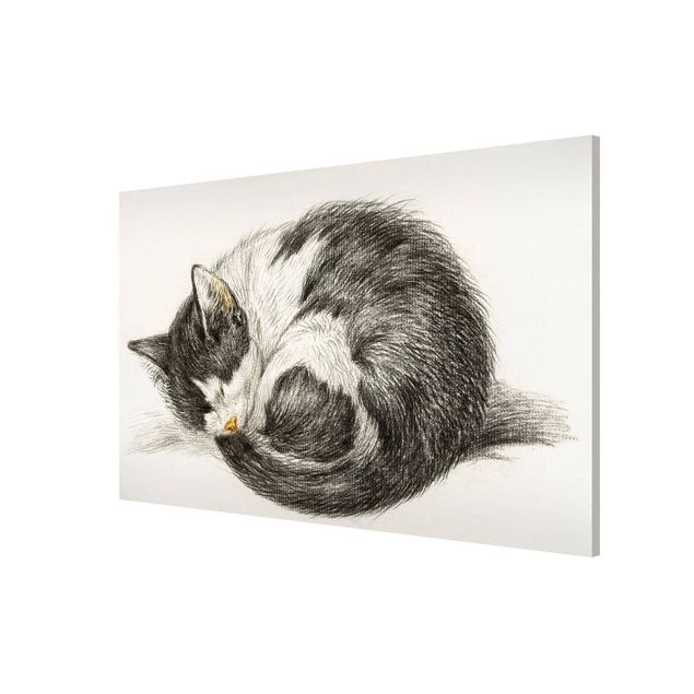 Magnet boards animals Vintage Drawing Cat II