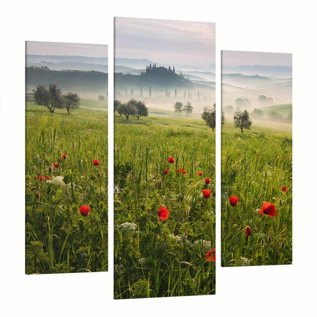 Canvas prints Italy Tuscan Spring
