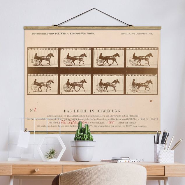 Kitchen Eadweard Muybridge - The horse in Motion