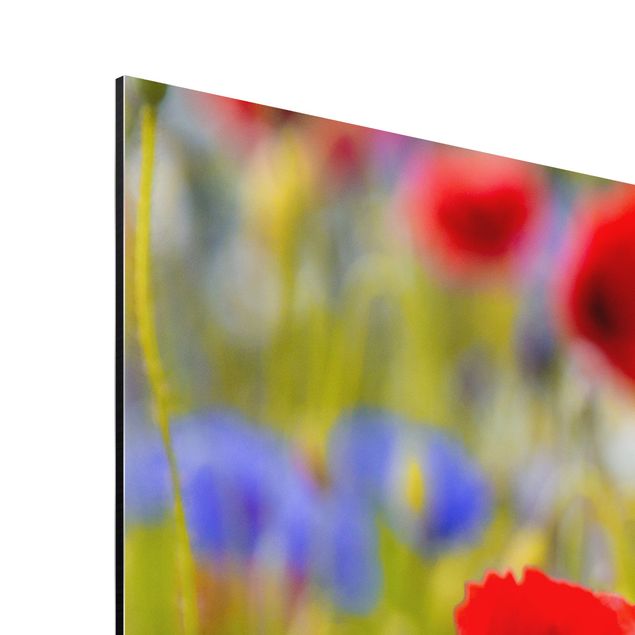 Floral picture Summer Meadow With Poppies And Cornflowers