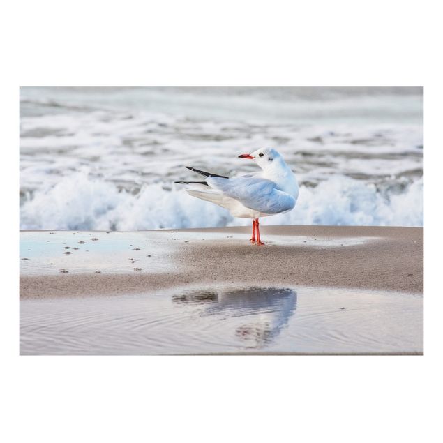 Prints landscape Seagull On The Beach In Front Of The Sea