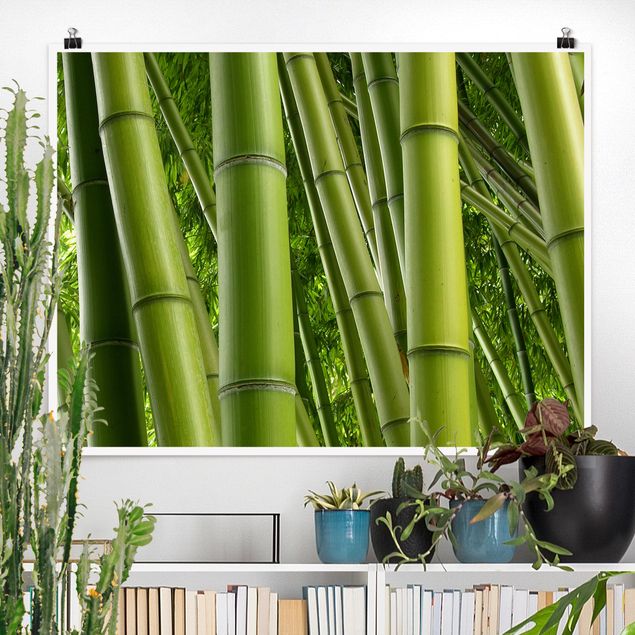 Kitchen Bamboo Trees No.2