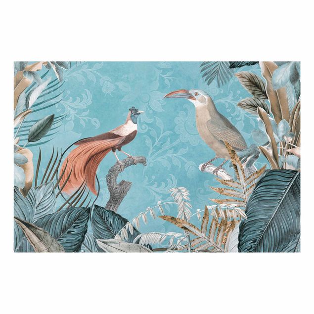 Glass splashback animals Vintage Collage - Birds Of Paradise