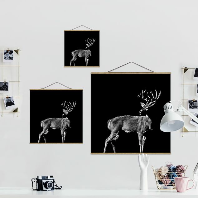 Prints Deer In The Dark