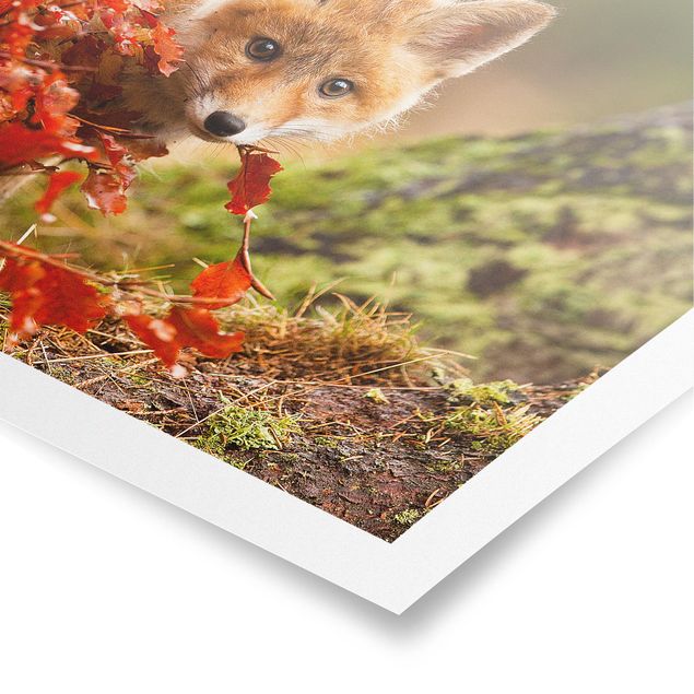 Prints floral Fox In Autumn