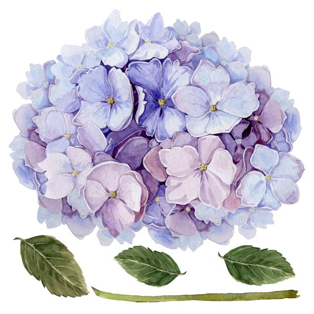 Wall stickers Watercolour Hydrangea Blue Bloom XXL