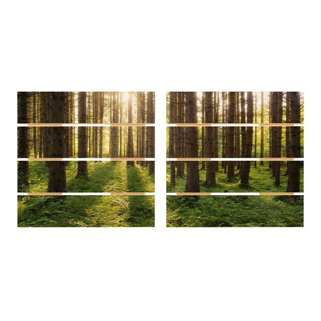 Prints Sun Rays In Green Forest