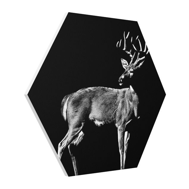 Modern art prints Deer In The Dark