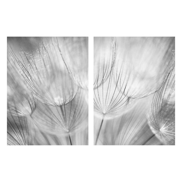 Prints floral Dandelions Macro Shot In Black And White