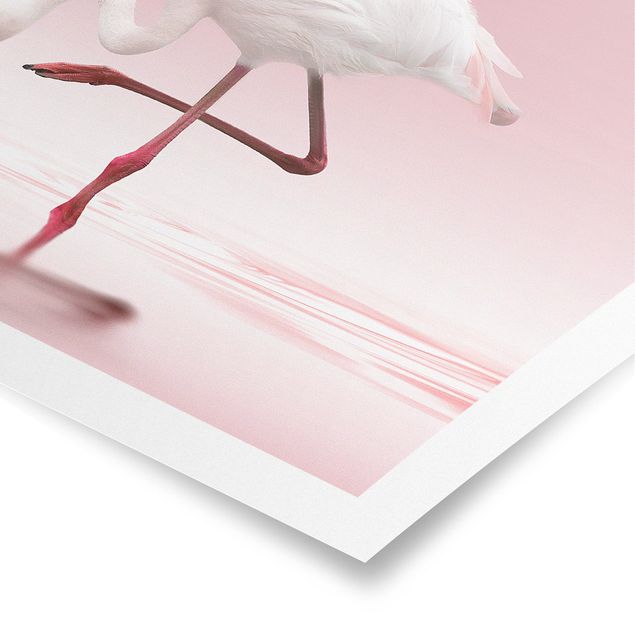 Pink art canvas Flamingo Dance