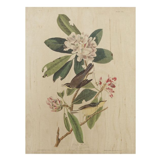 Wood prints flower Vintage Board Warbler