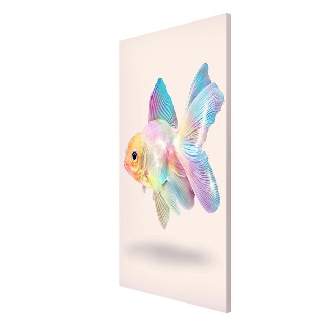 Magnet boards animals Fish In Pastel
