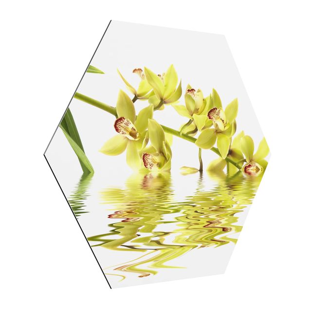 Floral picture Elegant Orchid Waters