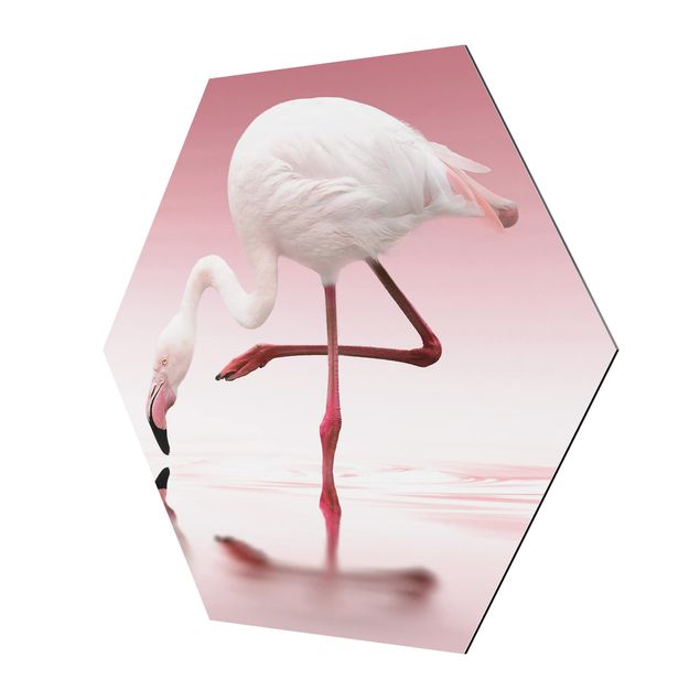 Prints Flamingo Dance