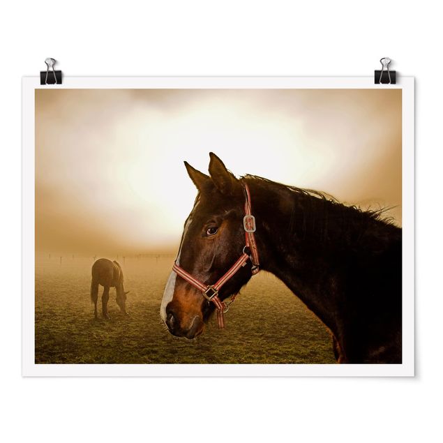 Contemporary art prints Early Horse