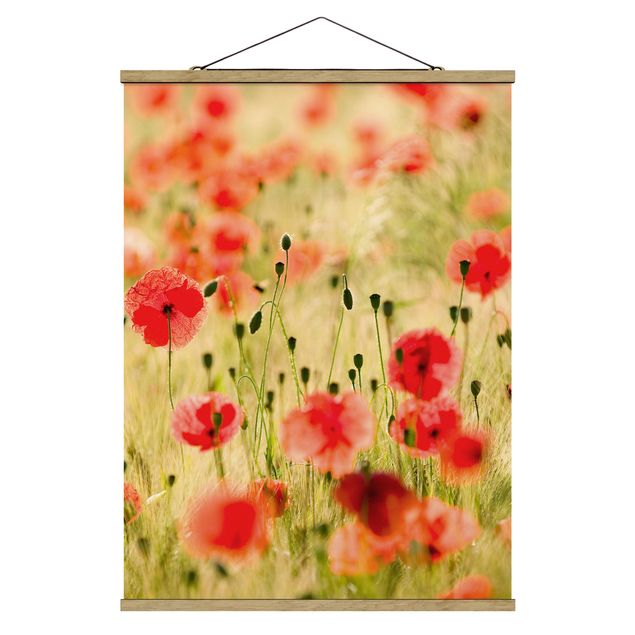 Floral picture Summer Poppies