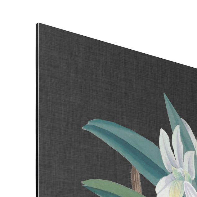 Floral prints White Orchid On Linen I