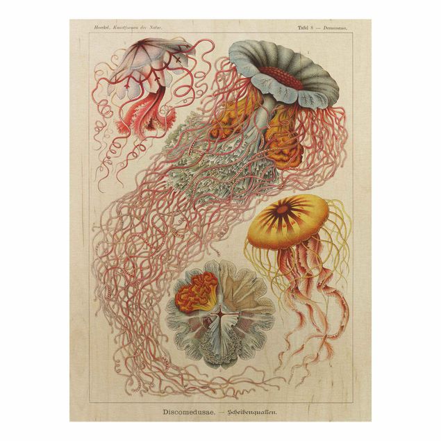 Vintage wood prints Vintage Board Jellyfish