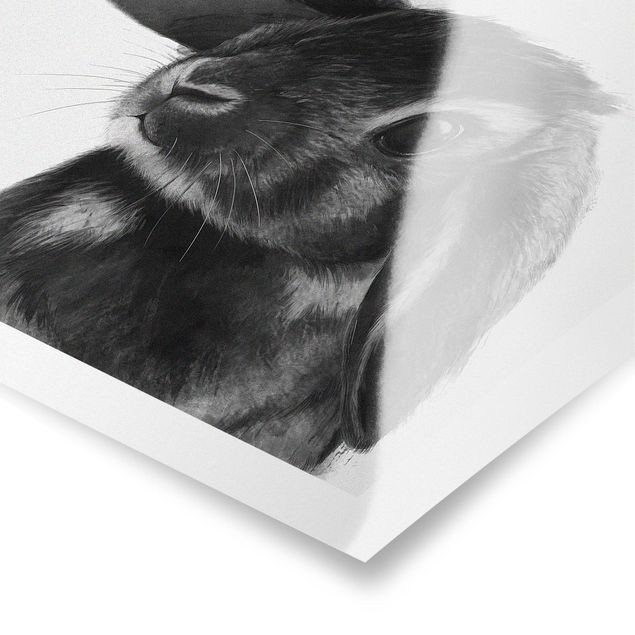 Laura Graves Art Illustration Rabbit Black And White Drawing