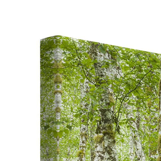 Green canvas wall art Hoh Rainforest Olympic National Park