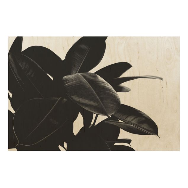 Wood prints flower Rubber Tree Black And White