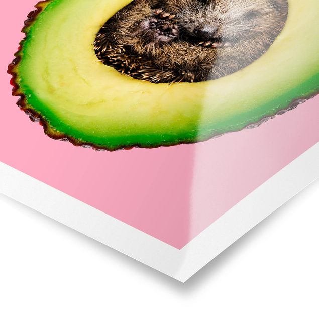 Jonas Loose Art Avocado With Hedgehog