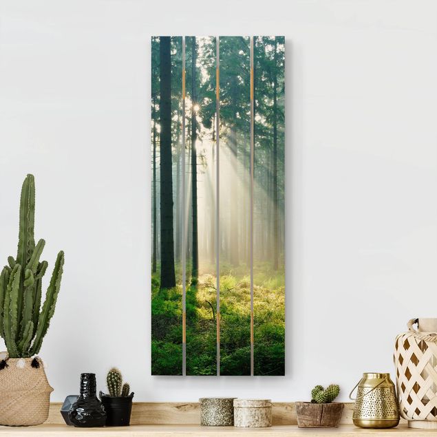 Wood prints landscape Enlightened Forest