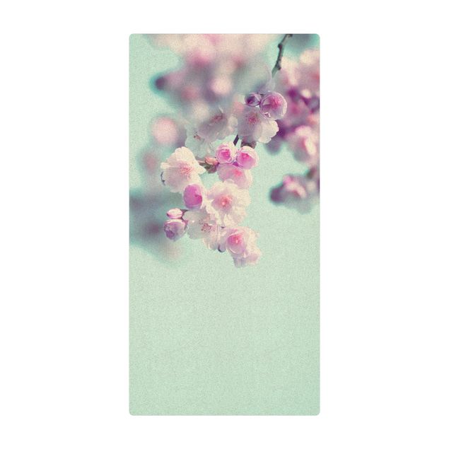 Monika Strigel Art prints Colourful Cherry Blossoms