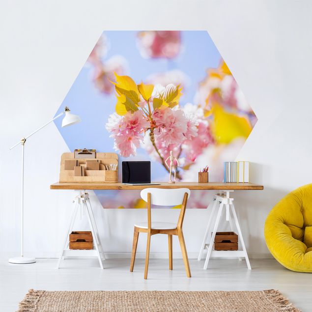 Modern wallpaper designs Colourful Cherry Blossoms