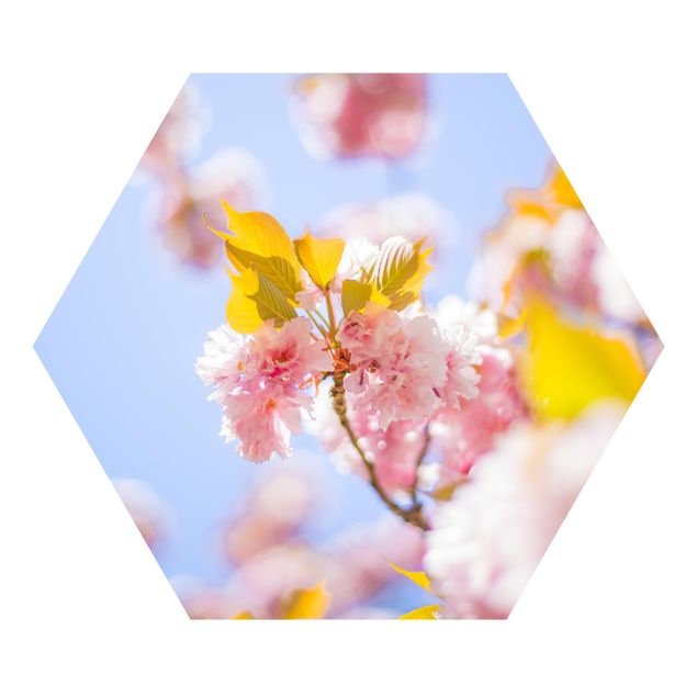 Adhesive wallpaper Colourful Cherry Blossoms