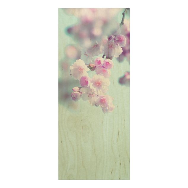 Wood prints flower Colourful Cherry Blossoms