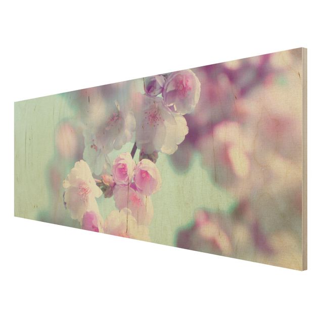 Monika Strigel Art prints Colourful Cherry Blossoms