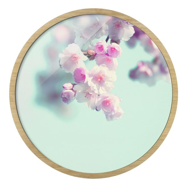 Pink wall art Colourful Cherry Blossoms