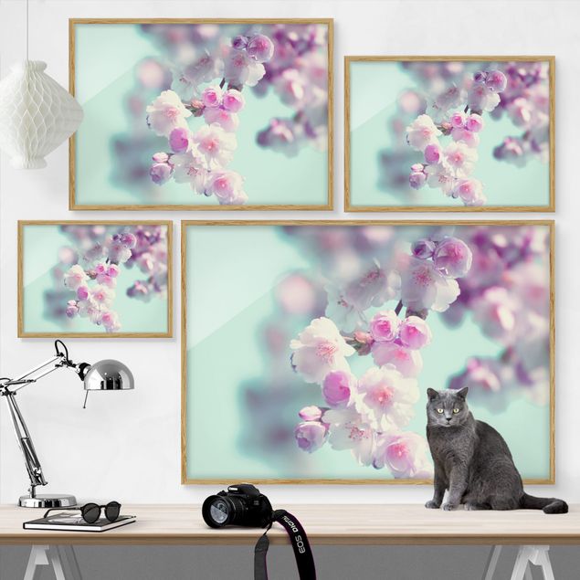 Pink art canvas Colourful Cherry Blossoms