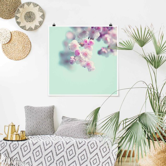 Prints floral Colourful Cherry Blossoms