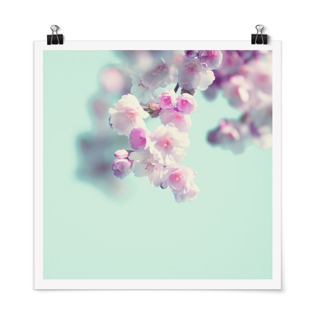 Contemporary art prints Colourful Cherry Blossoms