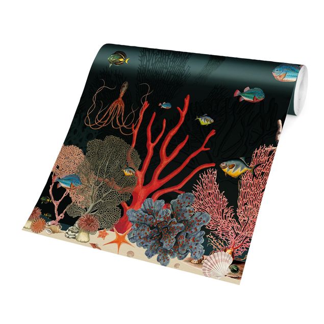 Wallpaper sea Colourful Coral Reef
