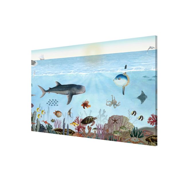 Landscape canvas prints Fascinating creatures on the coral reef