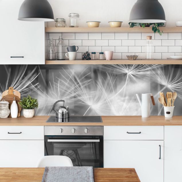 Kitchen splashback black and white Moving Dandelions Close Up On Black Background