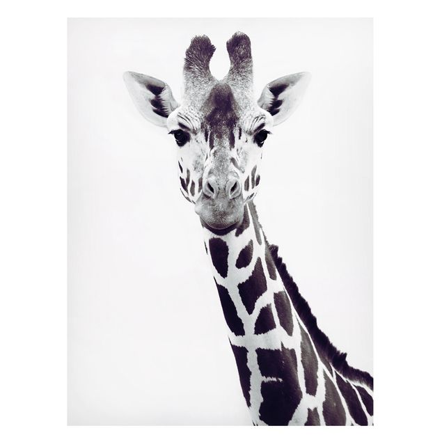 Giraffe print Giraffe Portrait In Black And White