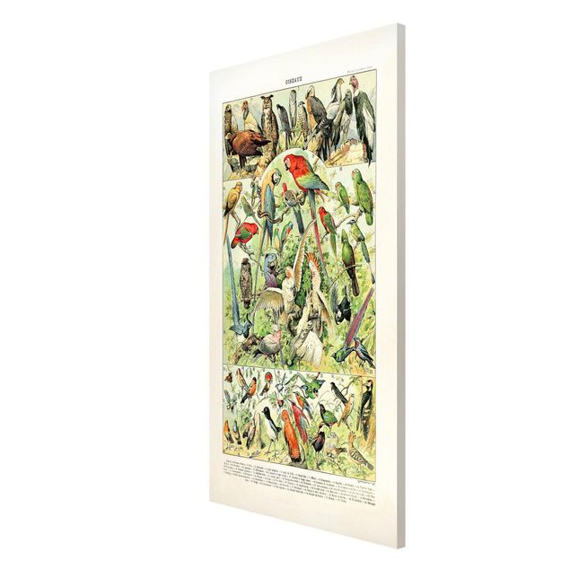 Prints floral Vintage Board Birds